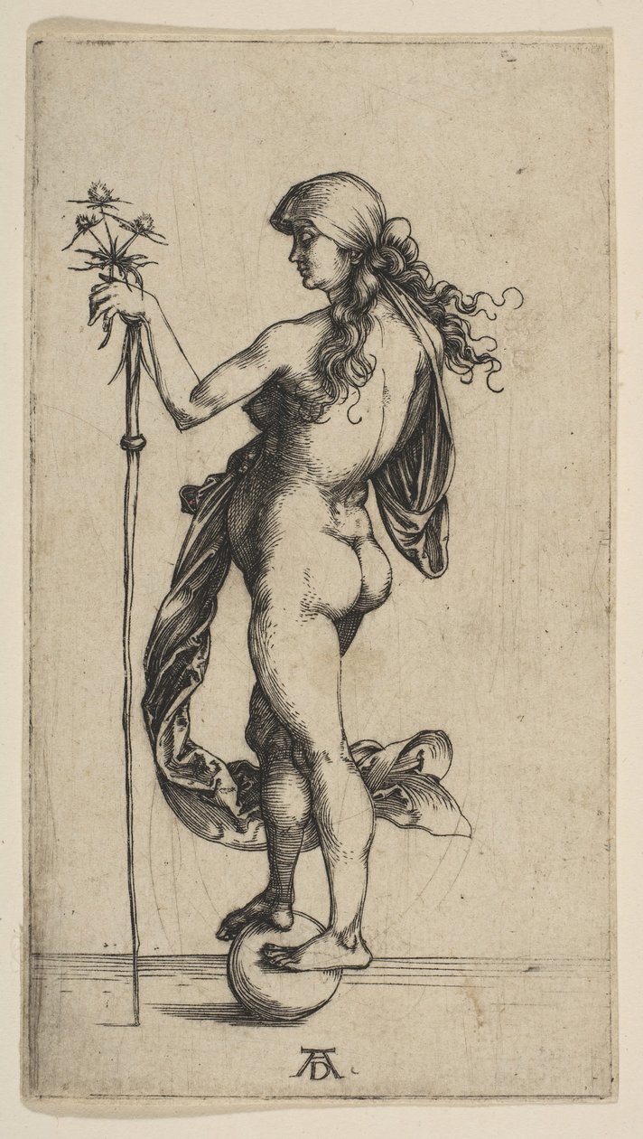 Pieni omaisuus, 1495-1496. tekijältä Albrecht Dürer