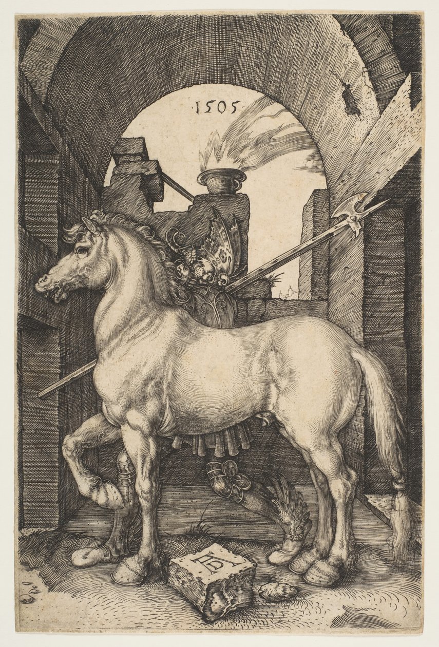 Pieni hevonen, 1505. tekijältä Albrecht Dürer