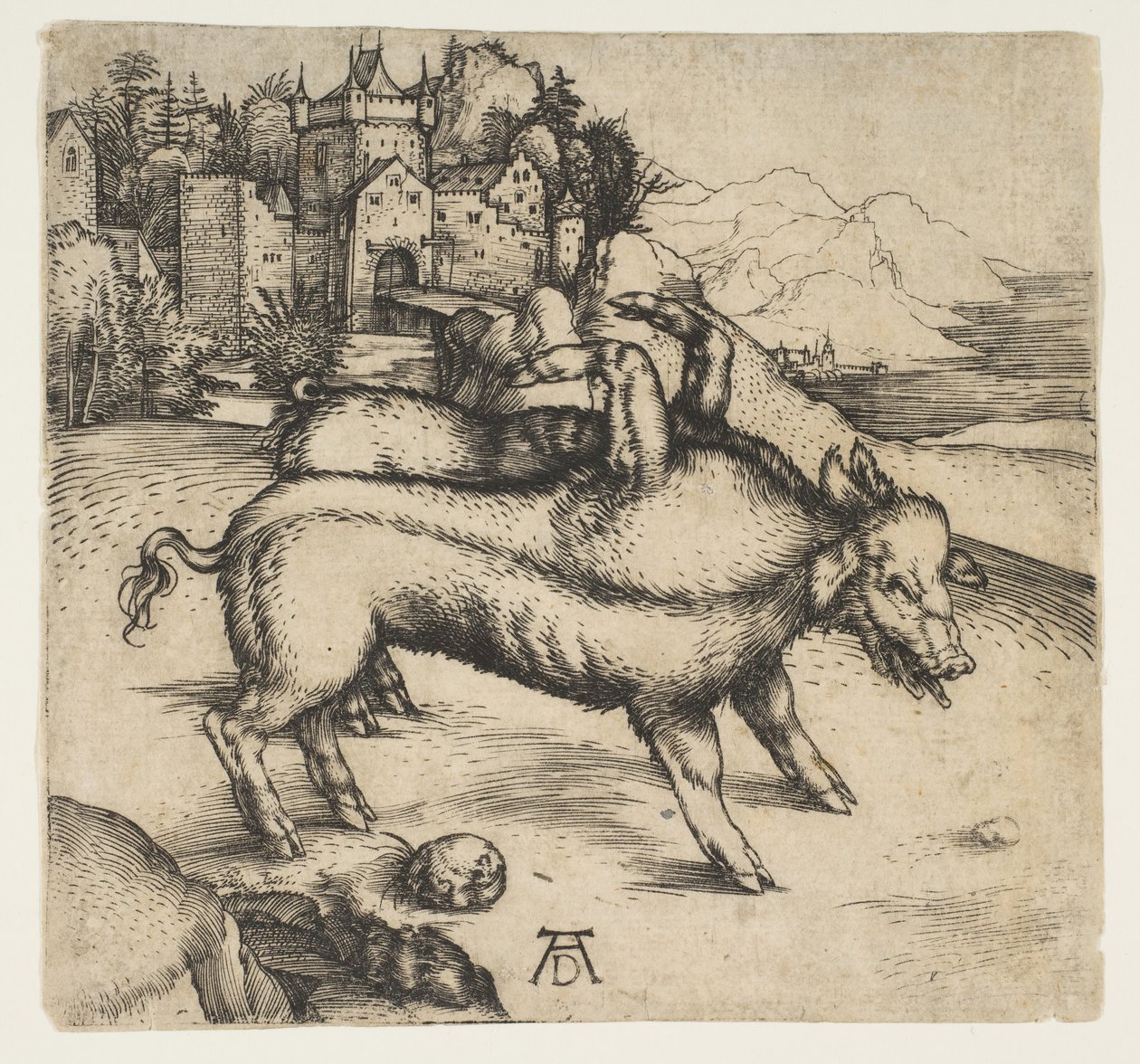 Landserin hirviömäinen sika, n. 1496. tekijältä Albrecht Dürer