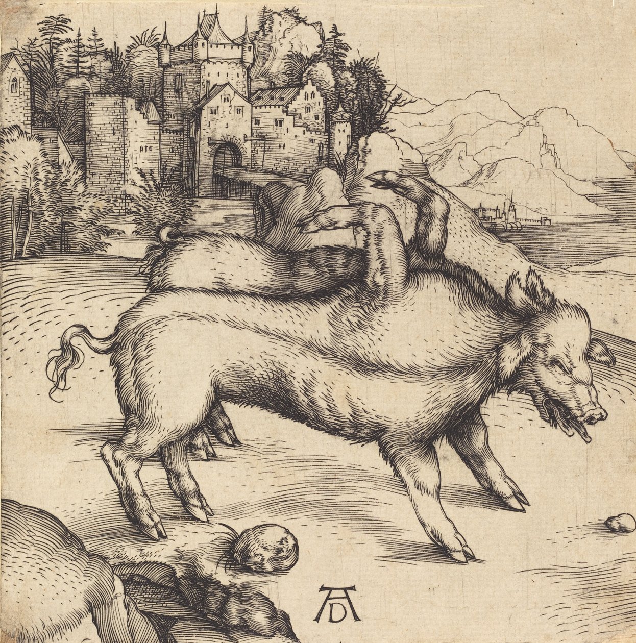 The Monstrous Pig of Landser, luultavasti 1496. tekijältä Albrecht Dürer
