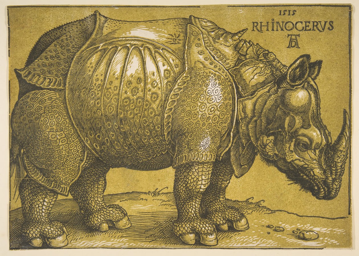 Sarvikuono, vuoden 1620 jälkeen. tekijältä Albrecht Dürer