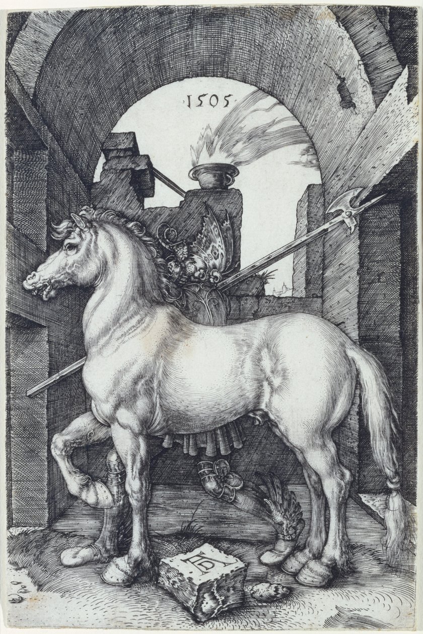 Pieni hevonen, 1505 tekijältä Albrecht Dürer
