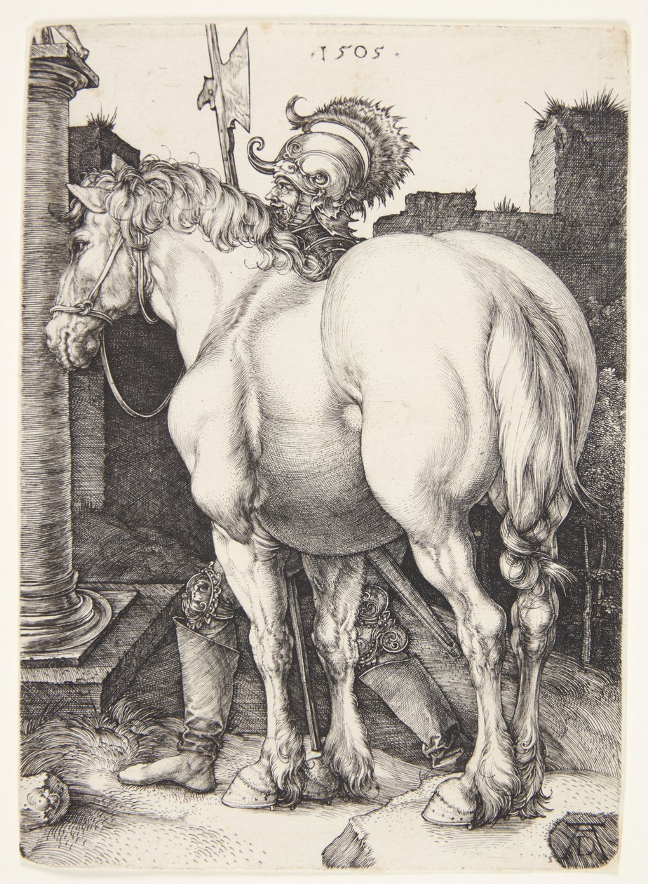 Iso hevonen tekijältä Albrecht Dürer