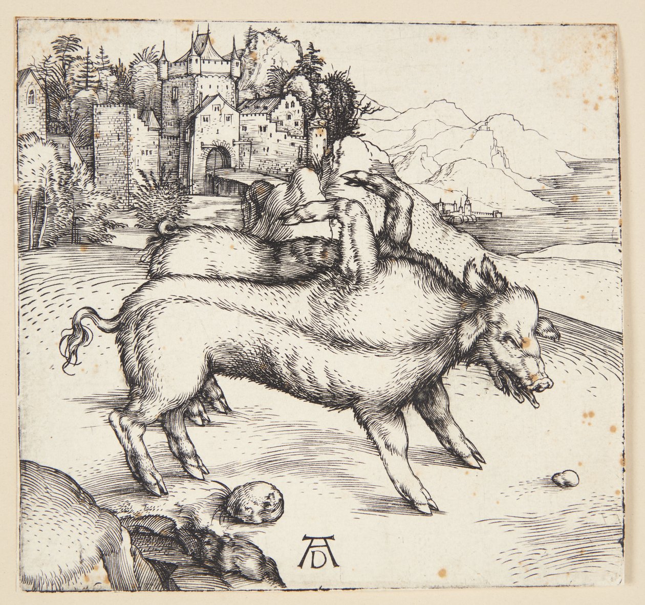 Landserin hirviömäinen emakko tekijältä Albrecht Dürer