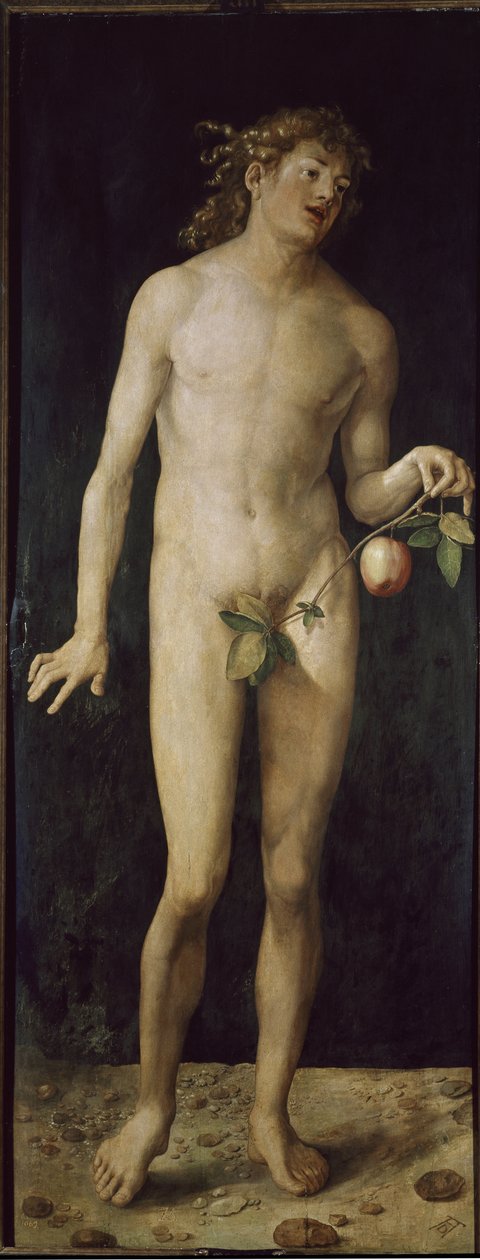 Adam (öljy puulle tekijältä Albrecht Dürer
