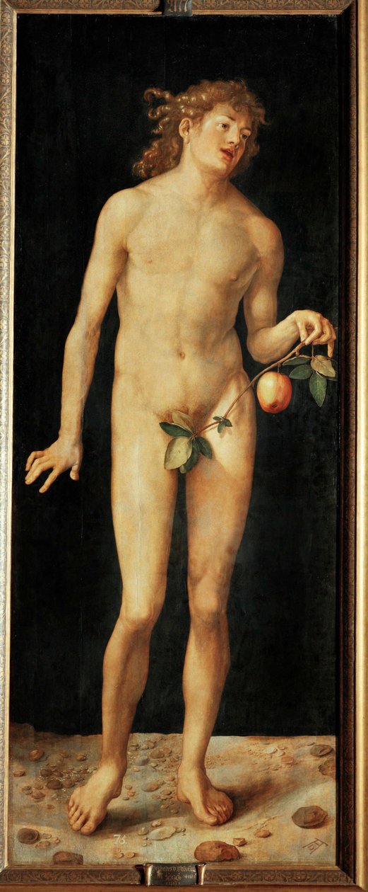 Adam tekijältä Albrecht Dürer or Duerer
