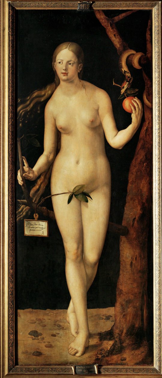 Eve tekijältä Albrecht Dürer or Duerer