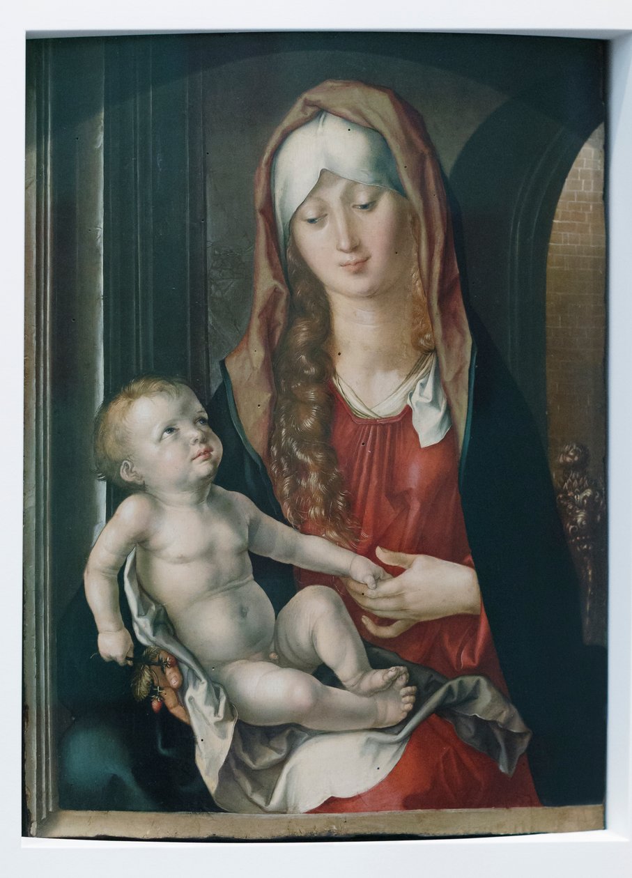 Madonna ja lapsi tekijältä Albrecht Dürer or Duerer