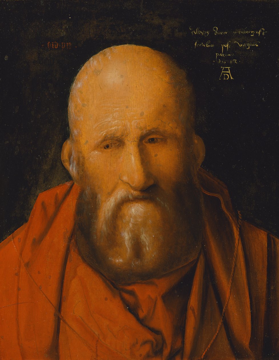 Pyhä Jerome tekijältä Albrecht Dürer