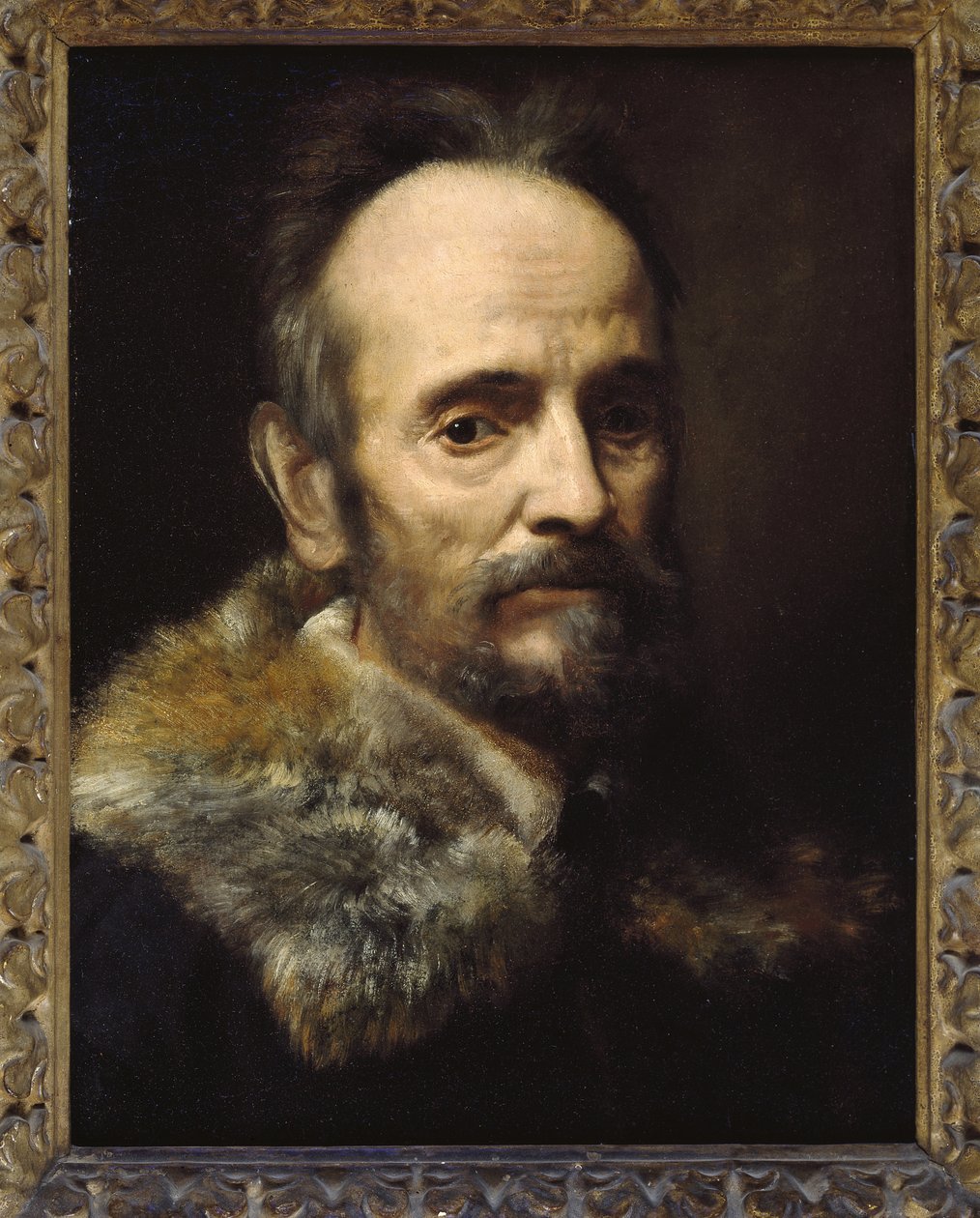 Bernardo Davanzati Bostichi tekijältä Alessandro Allori