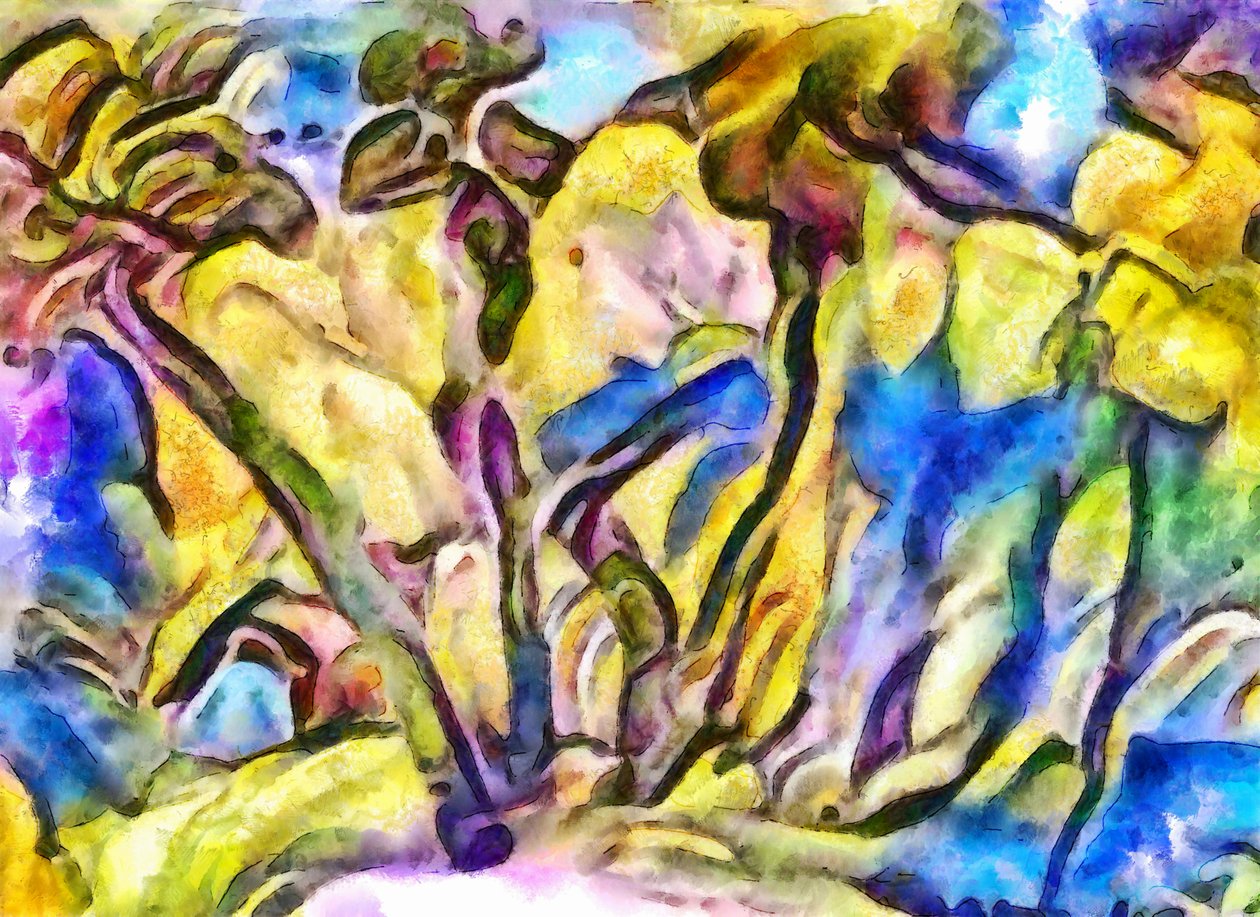 metsän reuna, 2017, tekijältä Alex Caminker