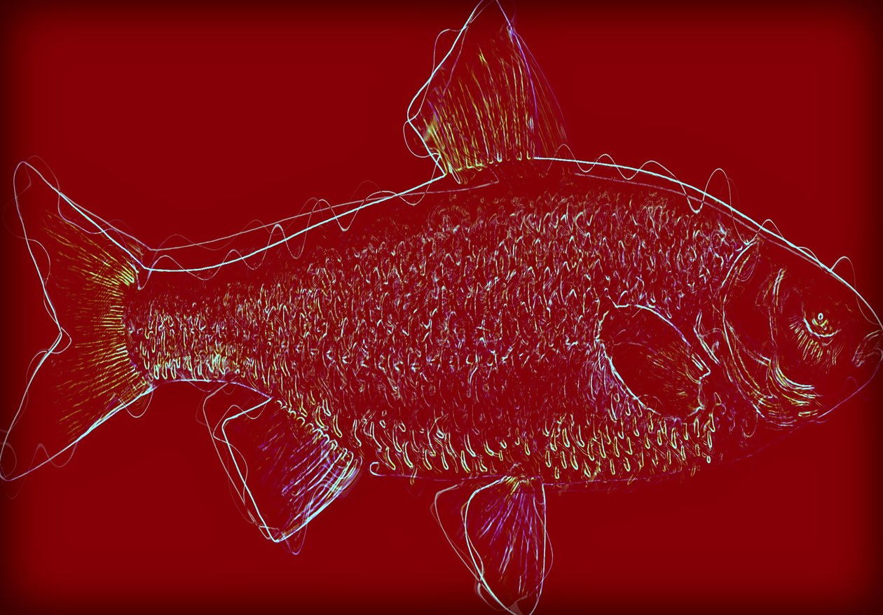 Fish V, 2020 ,(sekoitettu media) tekijältä Alex Caminker