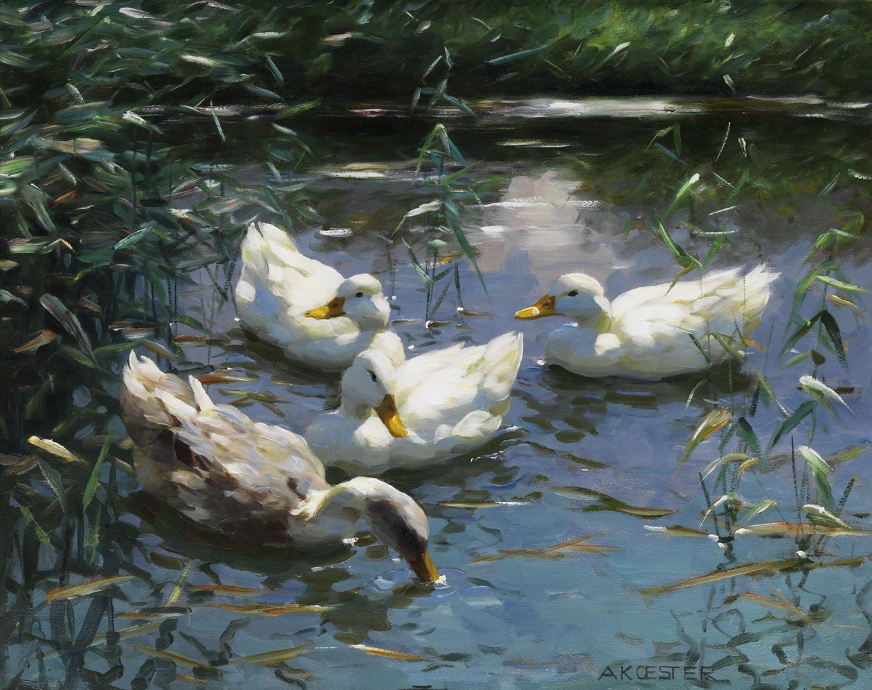 Vier Enten im Teich tekijältä Alexander Koester