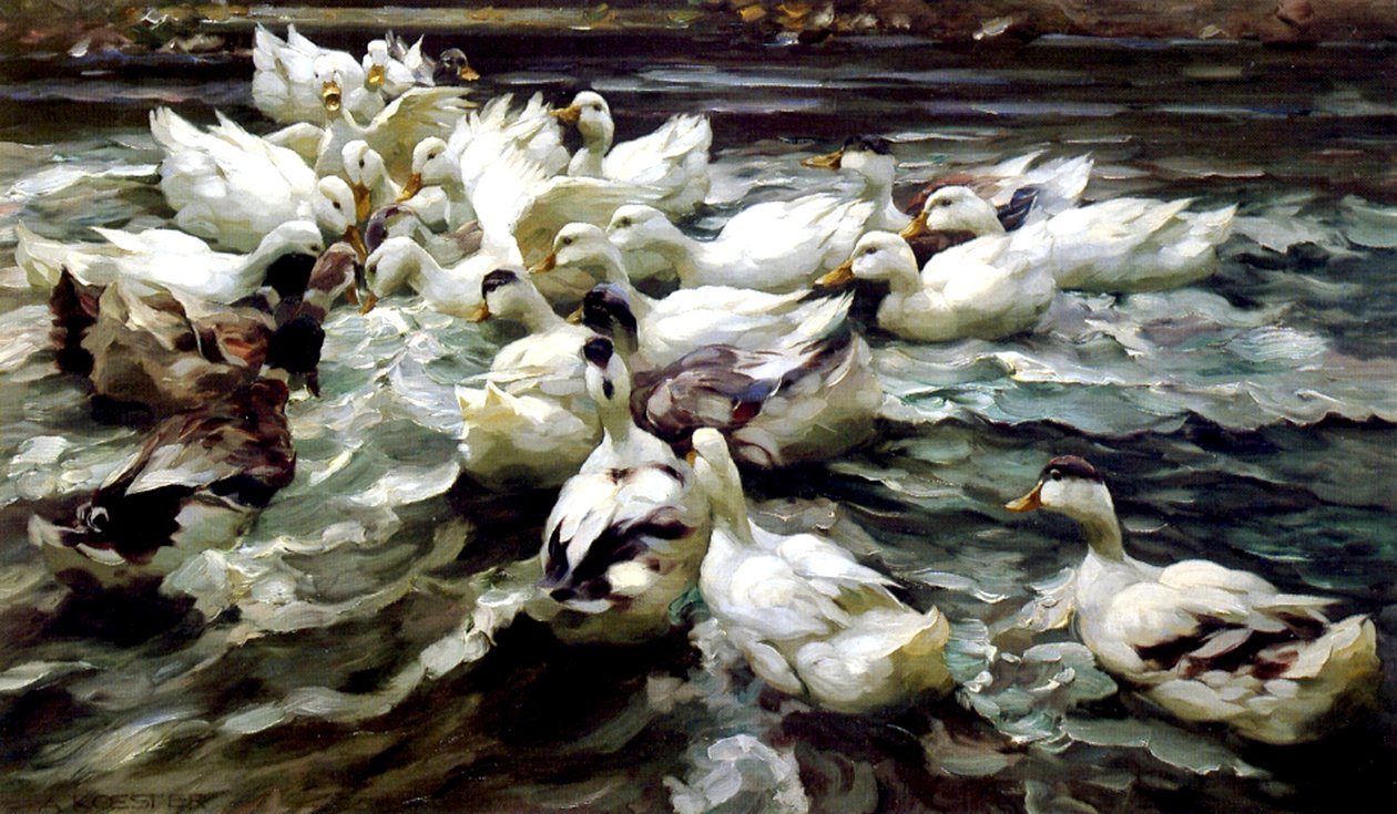 Ducks Gathering (öljy kankaalle) tekijältä Alexander Koester