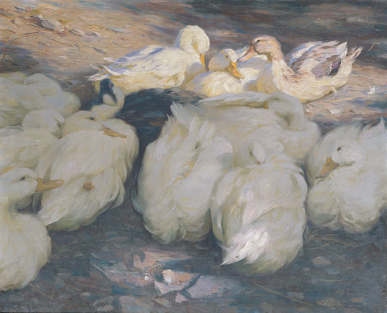 Ilta-auringossa tekijältä Alexander Koester