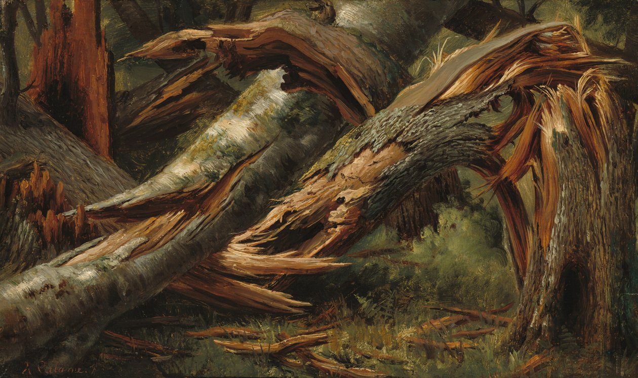 Kaatunut puu, 18391845. tekijältä Alexandre Calame