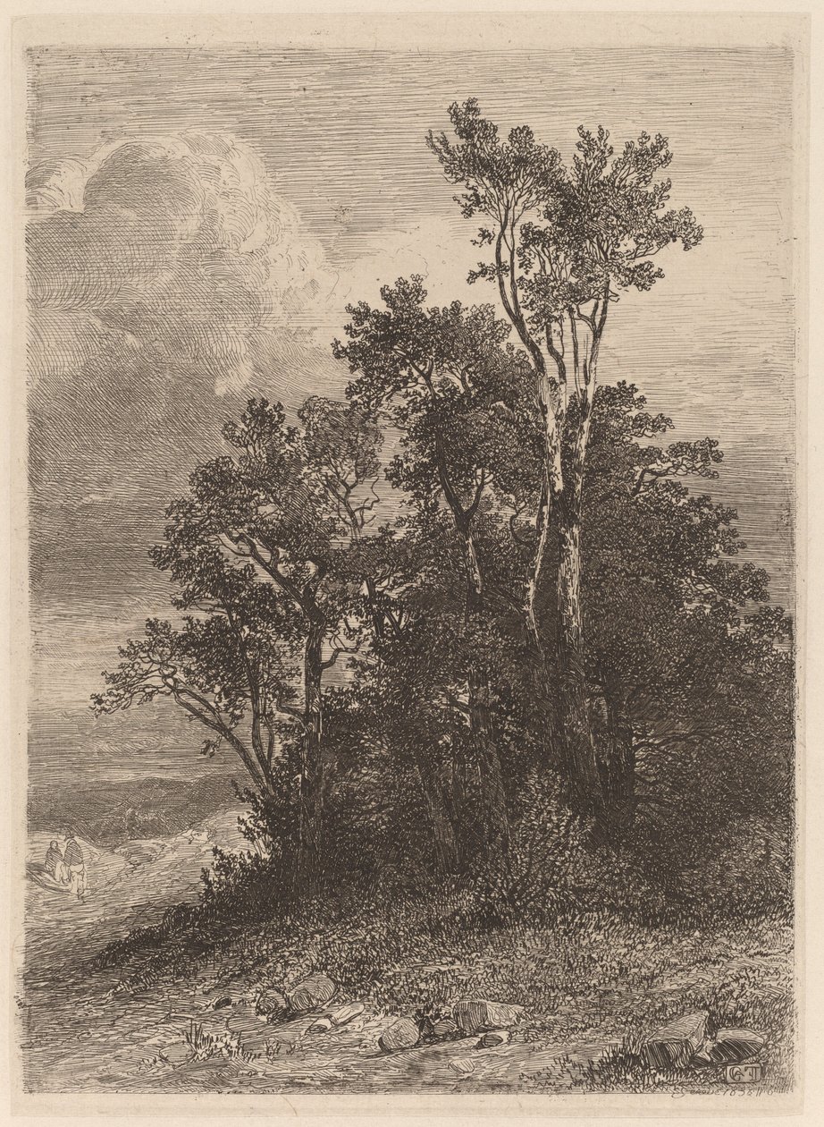 Puiden lehto tekijältä Alexandre Calame