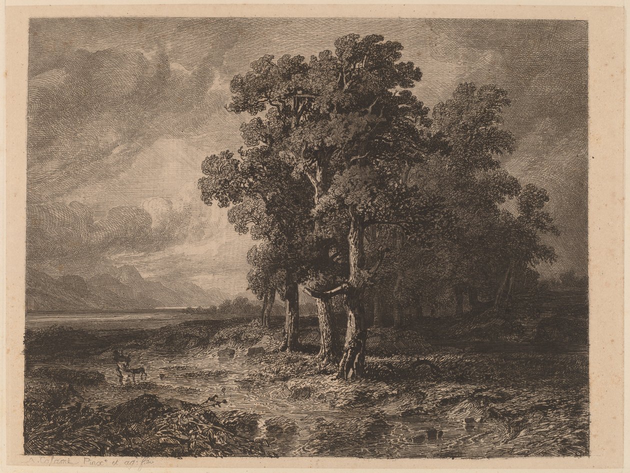 Puut myrskyssä tekijältä Alexandre Calame