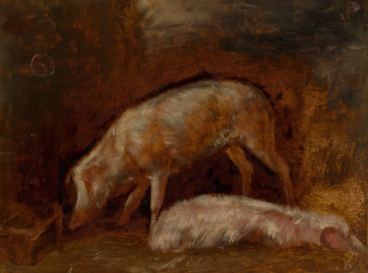 Sikojen tutkimus, 185060. tekijältä Alexandre Gabriel Decamps