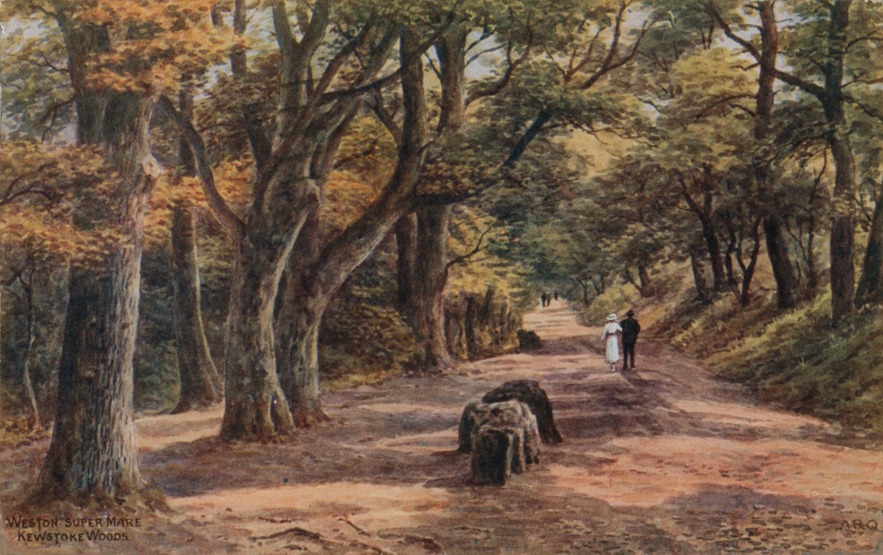 Weston-Super-Mare, Kewstoke Woods tekijältä Alfred Robert Quinton