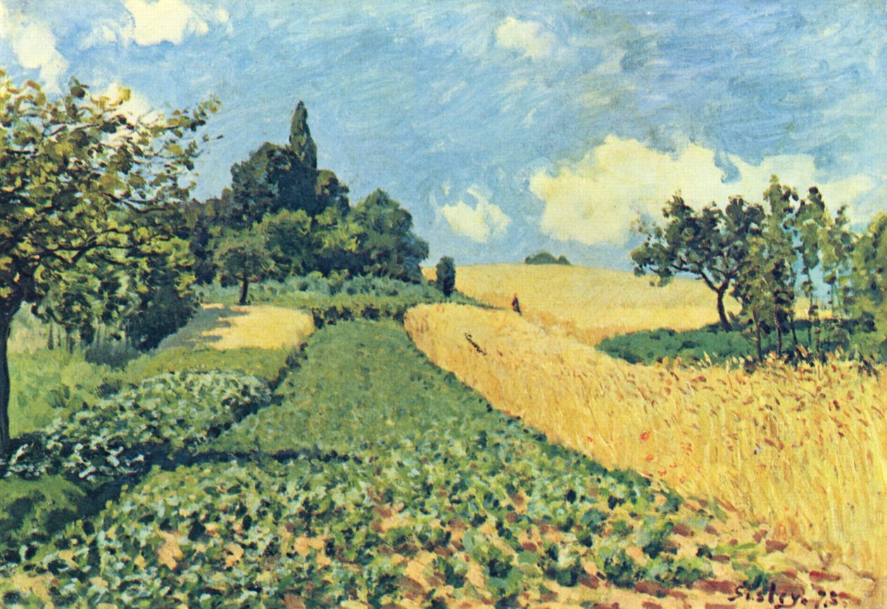 Getreidefelder auf den Hügeln von Argenteuil tekijältä Alfred Sisley