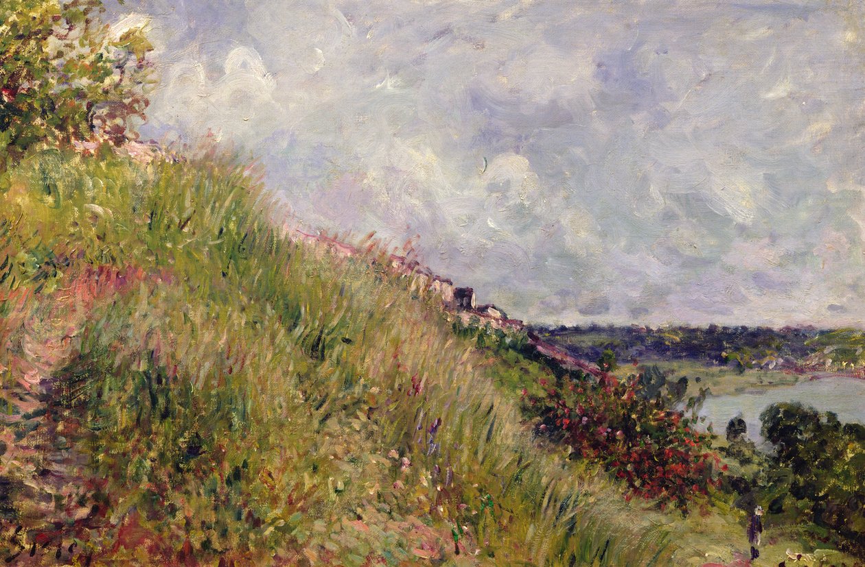 Seine, näkymä By:n rinteille, 1881 tekijältä Alfred Sisley
