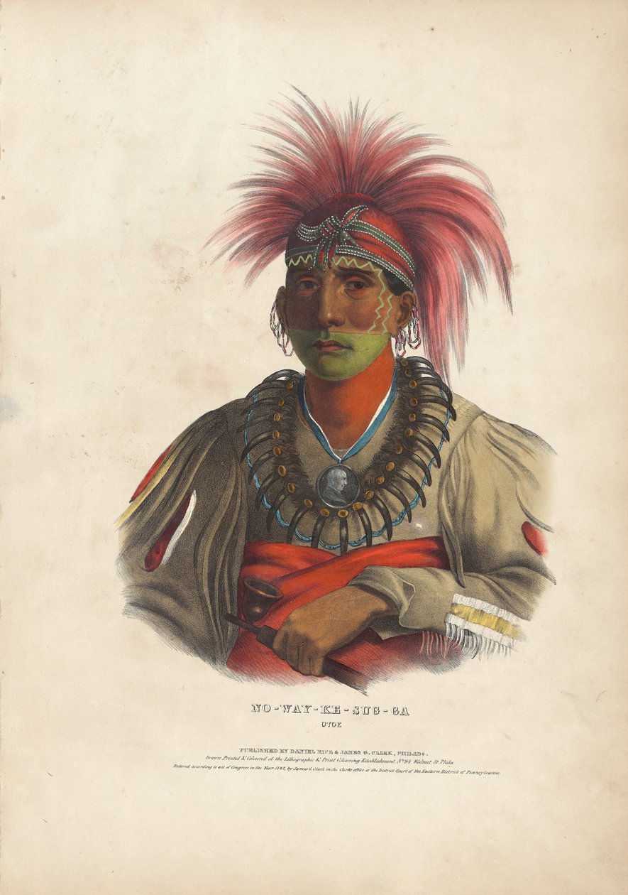 Ei summaa y - tapaus g - on Otoe tekijältä Alfred Hoffy, after Charles Bird King