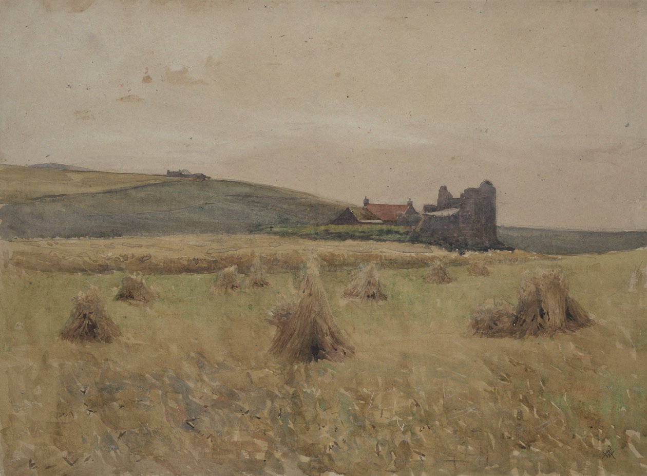 Camp de blat finlandès tekijältä Alfred R. Waud