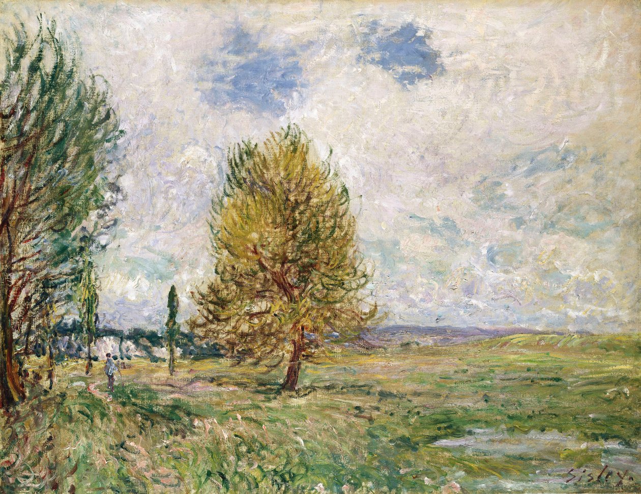Veneux-Nadonin tasango, 1881 tekijältä Alfred Sisley