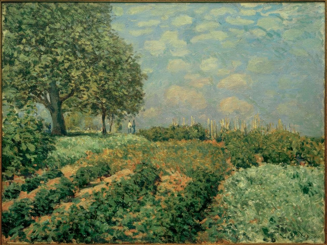 Kentät tekijältä Alfred Sisley