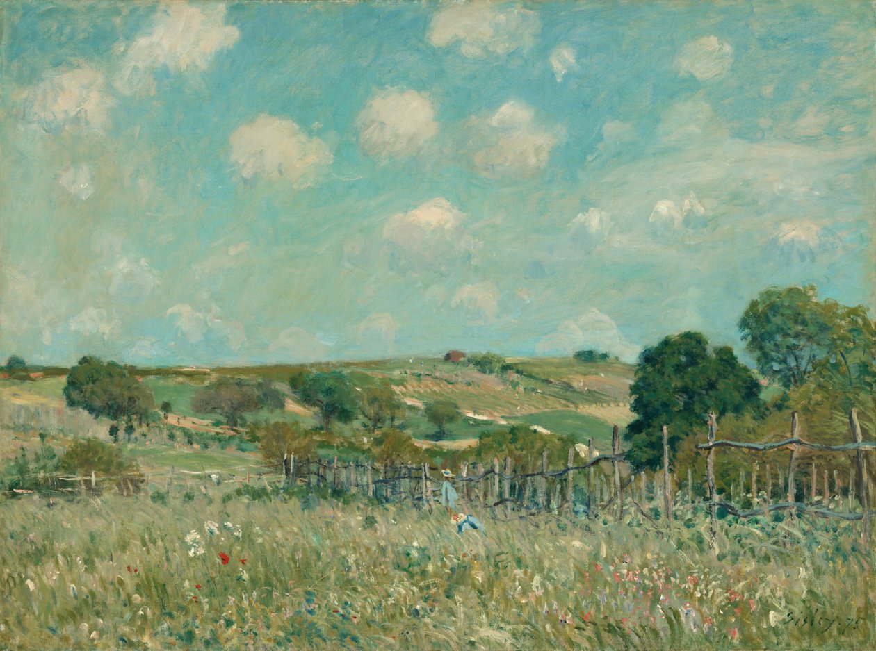 Niitty tekijältä Alfred Sisley