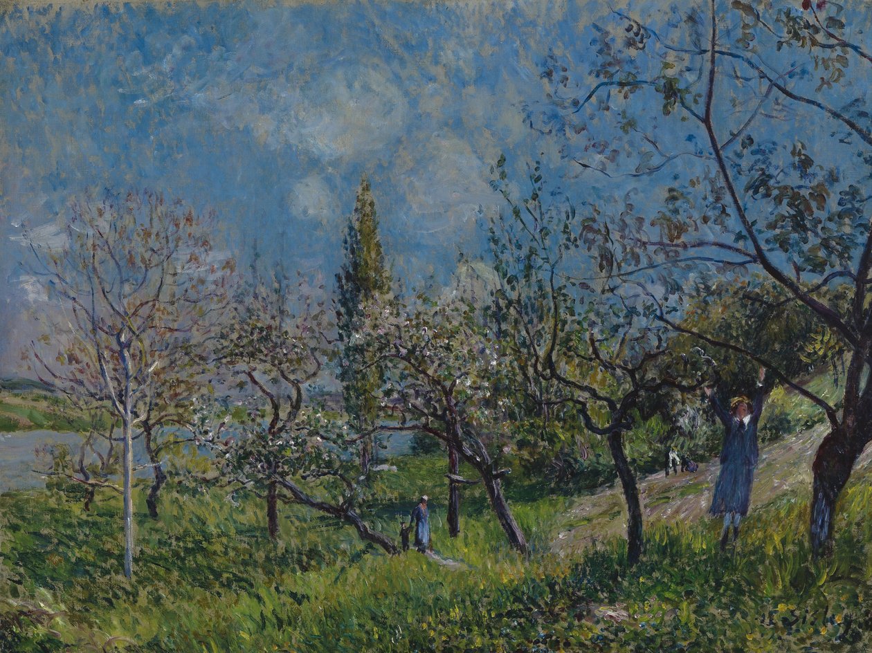 Hedelmätarha keväällä tekijältä Alfred Sisley