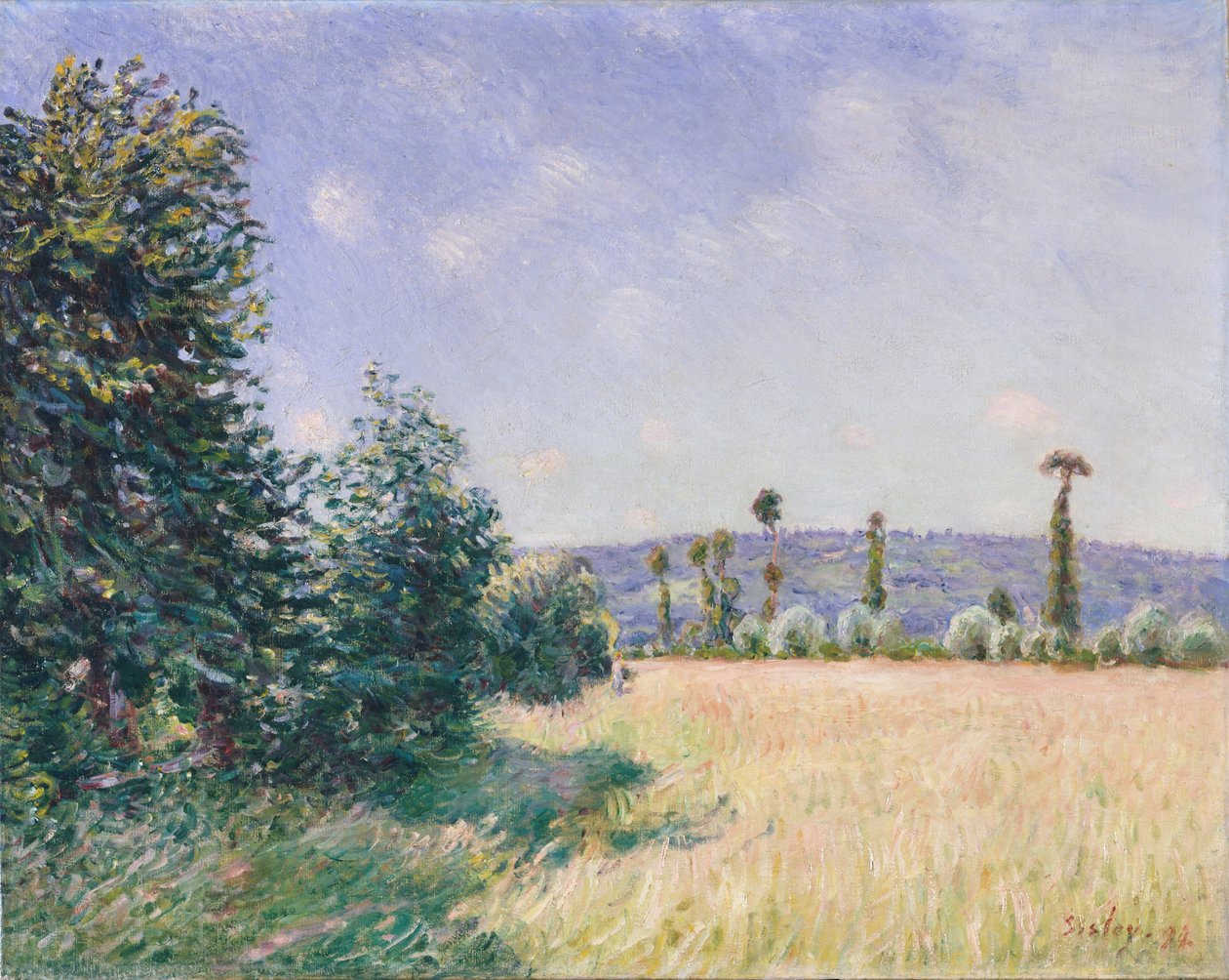 Sahurs Meadows aamuauringossa, 1894 tekijältä Alfred Sisley