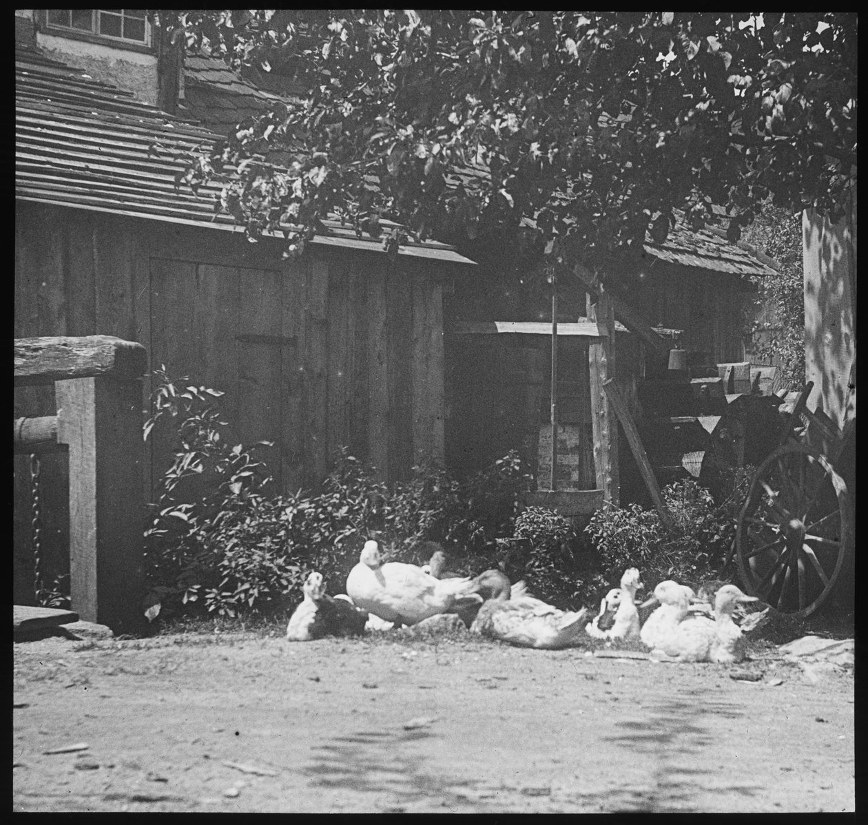 arviointi tekijältä Alfred Stieglitz