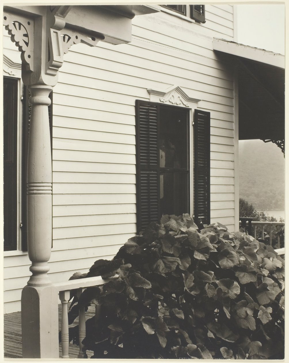 Talo ja viinirypäleen lehdet, 1934. tekijältä Alfred Stieglitz