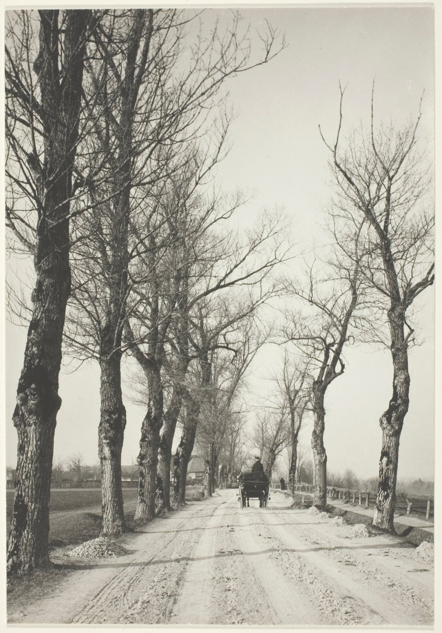 Marraskuun päivät tekijältä Alfred Stieglitz