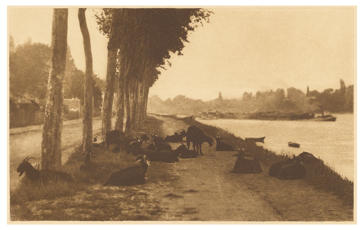 [Seinen varrella - lähellä Pariisia] tekijältä Alfred Stieglitz