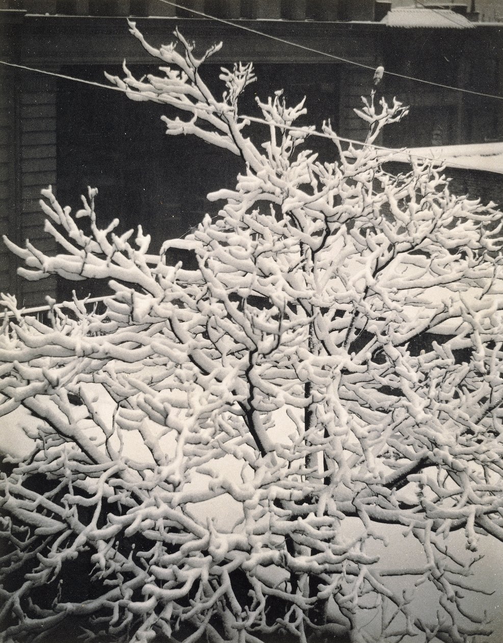 Out of Window - 291 - N.Y. tekijältä Alfred Stieglitz