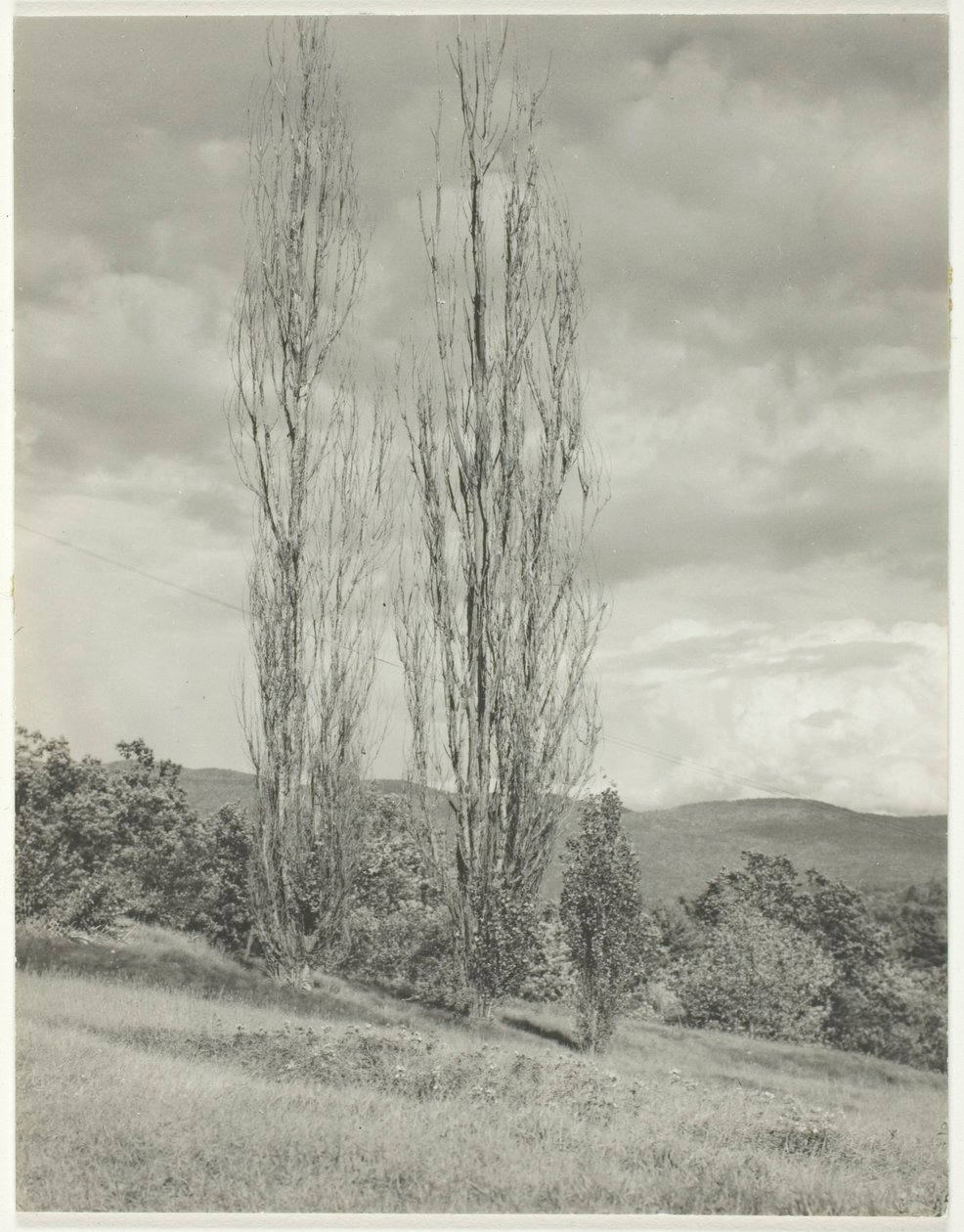 Poppelit – George-järvi tekijältä Alfred Stieglitz