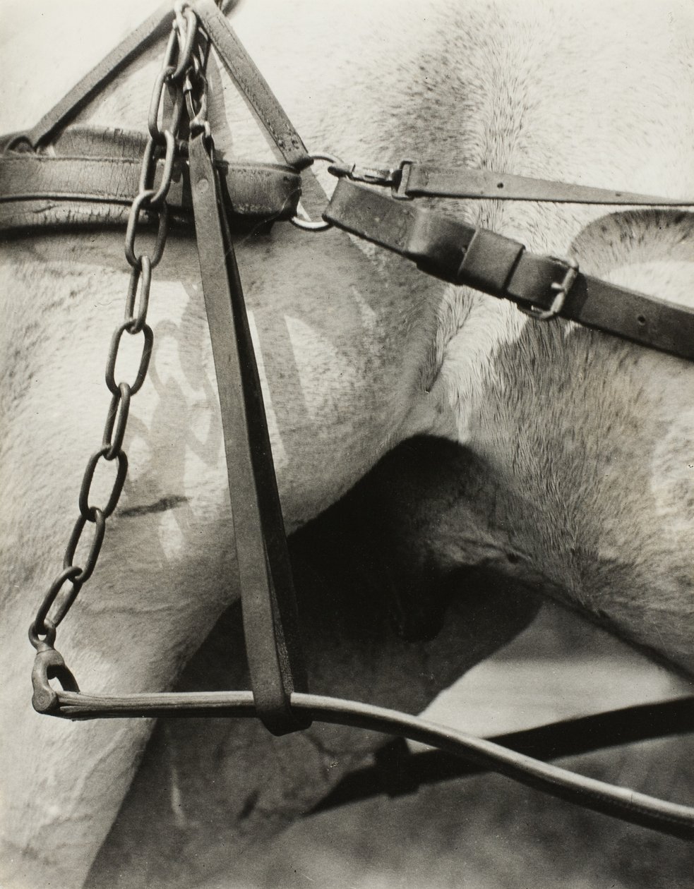 Spiritual America: Songs of the Sky A1 tekijältä Alfred Stieglitz