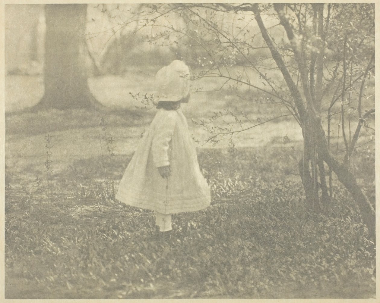 Kevät – lapsi, 1901. tekijältä Alfred Stieglitz
