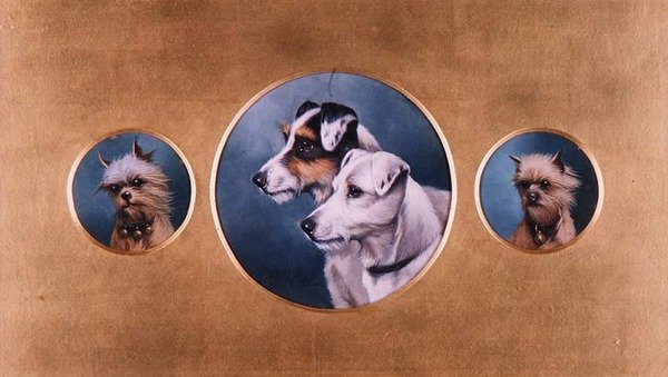 Foxterrierit ja Yorkshiren terrierit tekijältä Alfred Wheeler