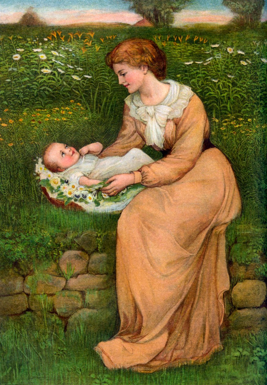 "A Bed of Daisies", 1905. tekijältä Alphage Brewer