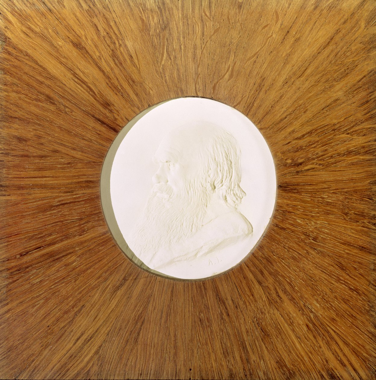 Charles Darwin (1809-82) n. 1881 (kipsi bareljeefi) tekijältä Alphonse Legros