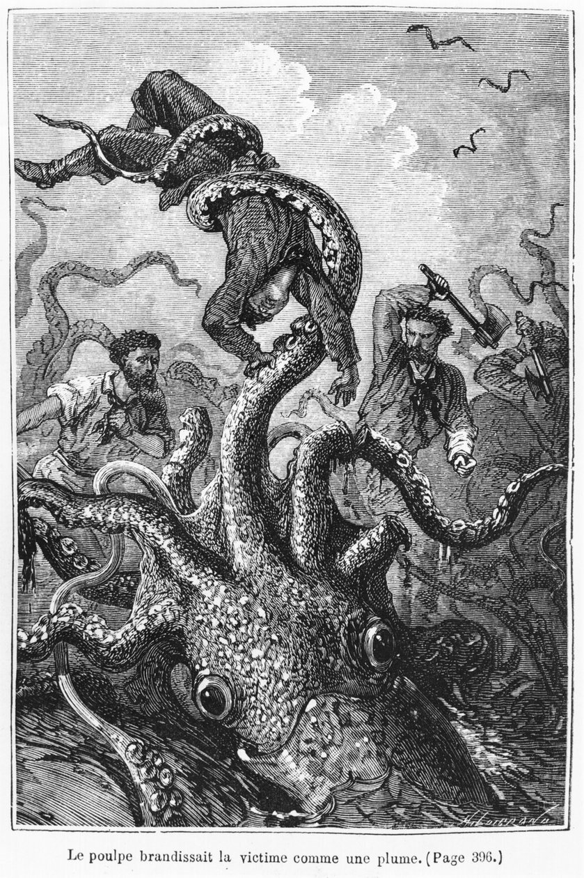 Mustekala hyökkää Nautilukseen, kuvitus Jules Vernen (1828-1905) teoksesta "20 000 liigaa meren alla", kaivertanut Henri Theophile Hildibrand (1824-97) Paris, Hetzel, julkaistu 1877 (kaiverrus) tekijältä Alphonse Marie de Neuville