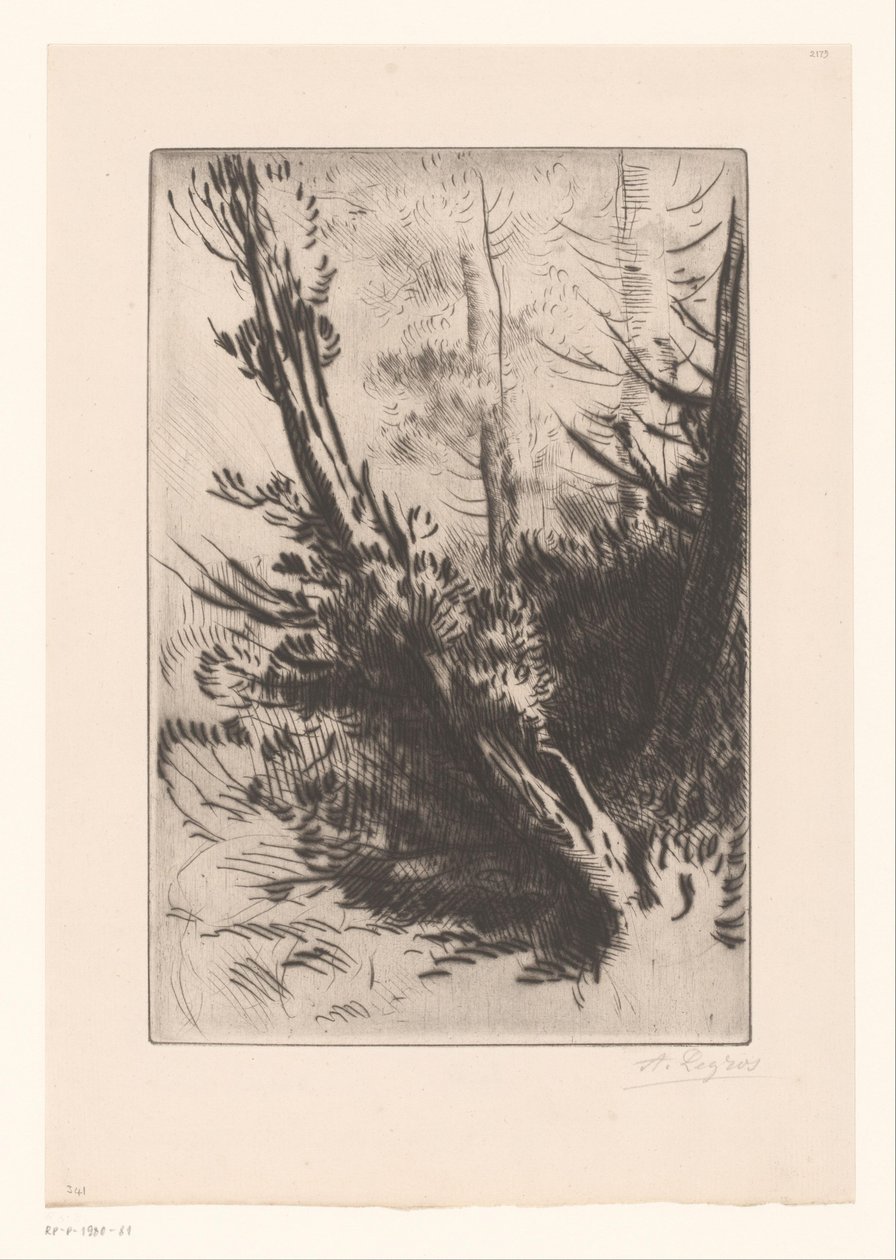 puut tekijältä Alphonse Legros (signed by artist)