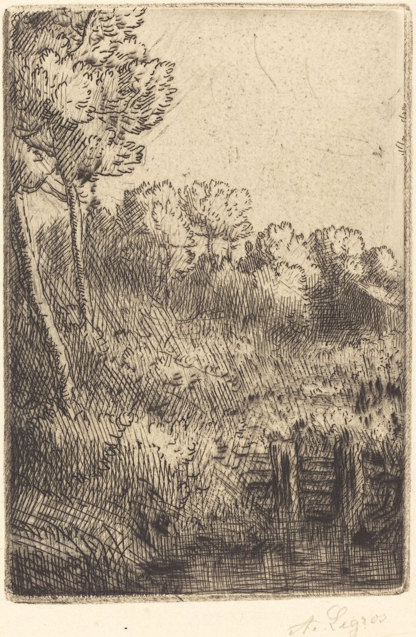 Marnen varrella Marnessa. tekijältä Alphonse Legros