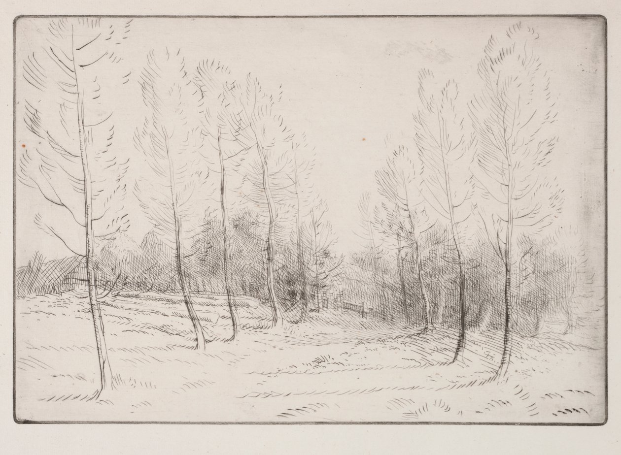 Poppelien katu tekijältä Alphonse Legros