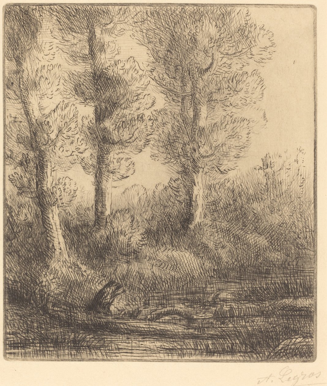 Saint-Pren pankit (Rive du Saint-Pre) tekijältä Alphonse Legros