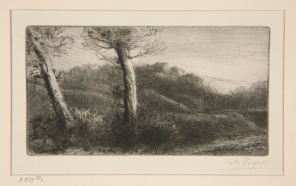 Auringonlasku tekijältä Alphonse Legros